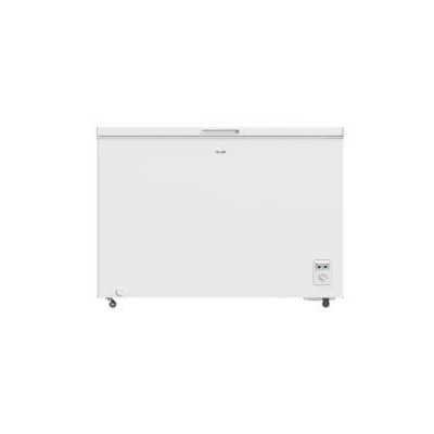 Congélateur bahut TECNOLUX CCF 1S300E017